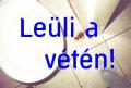 N�v: 1_fos.jpg
Sz�less�g: 746px
Magass�g: 501px