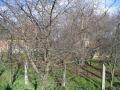 N�v: img_4236.jpg
Sz�less�g: 1024px
Magass�g: 768px