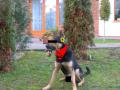 Nv: 1069614773.jpg
Szlessg: 1024px
Magassg: 768px